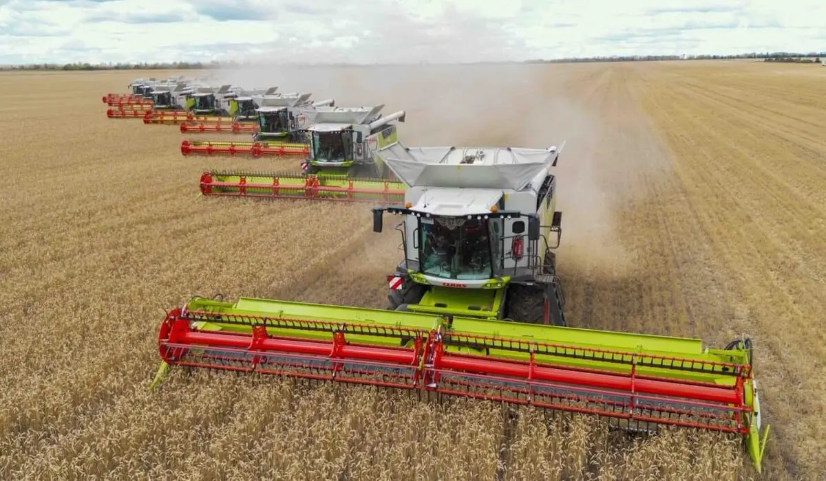 Kazakhstan Expects Above-Average Grain Harvest as 83% of Crops Collected